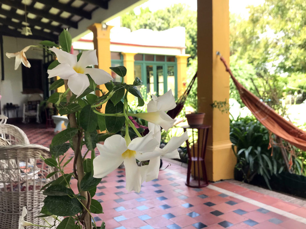 Casa Bellavista, casa quinta en Villa Lía (foto 15 de 21)