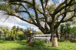 Cabañas Los Zorzales