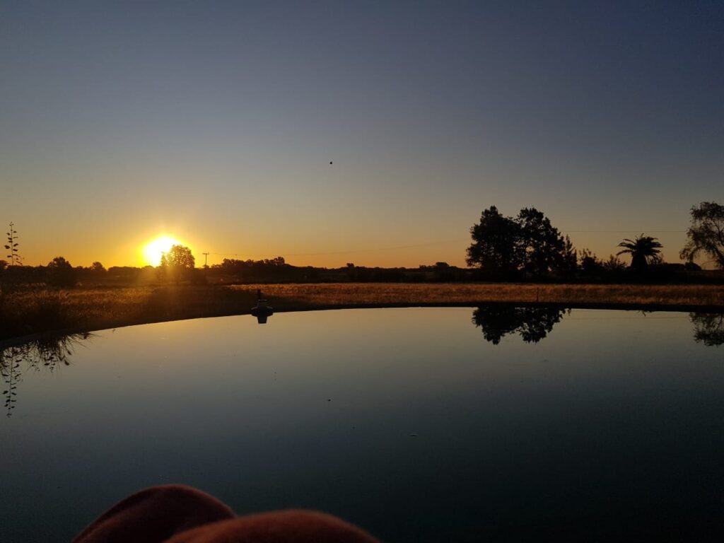 El Rinconcito, cabaña en San Antonio de Areco (foto 24 de 28)