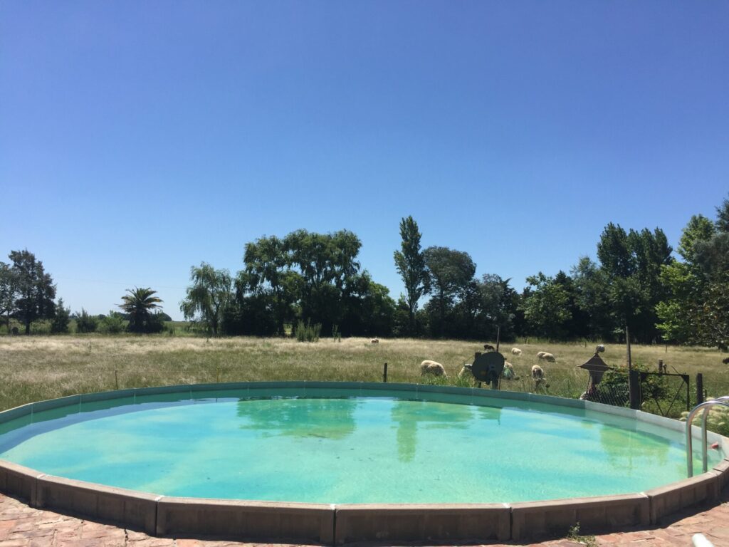 El Rinconcito, cabaña en San Antonio de Areco (foto 2 de 28)