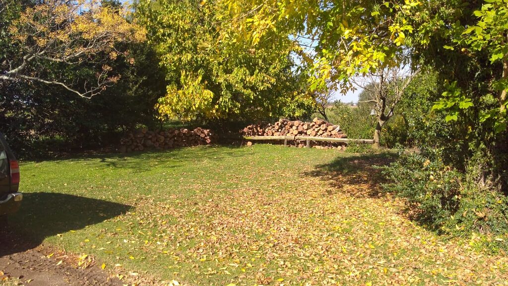 El Rinconcito, cabaña en San Antonio de Areco (foto 14 de 28)