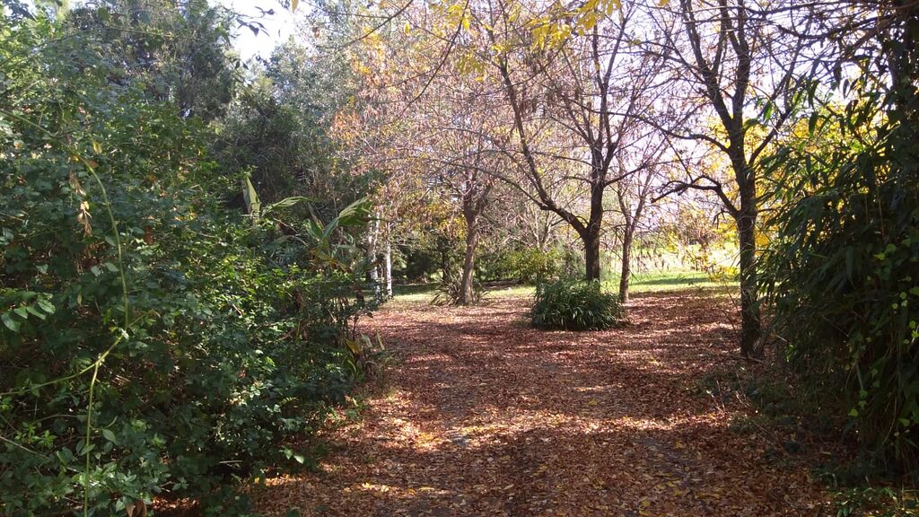 El Rinconcito, cabaña en San Antonio de Areco (foto 15 de 28)