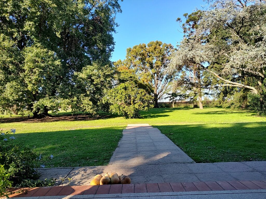 Los Robles, casa de campo en Duggan (foto 18 de 35)