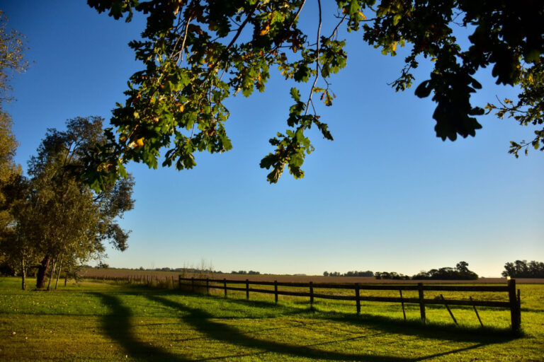 Principal - Sanantoniodeareco.com