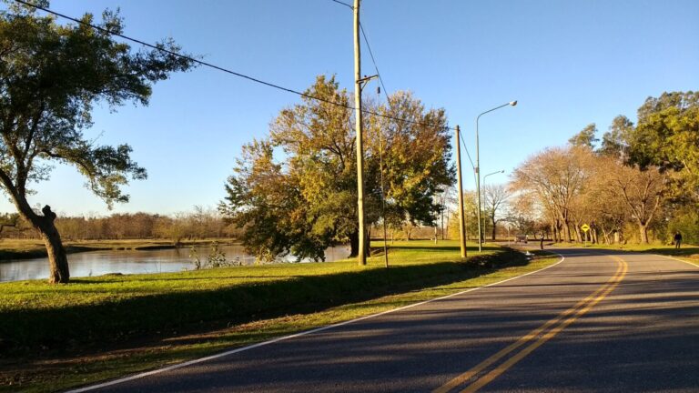 Guías - Sanantoniodeareco.com