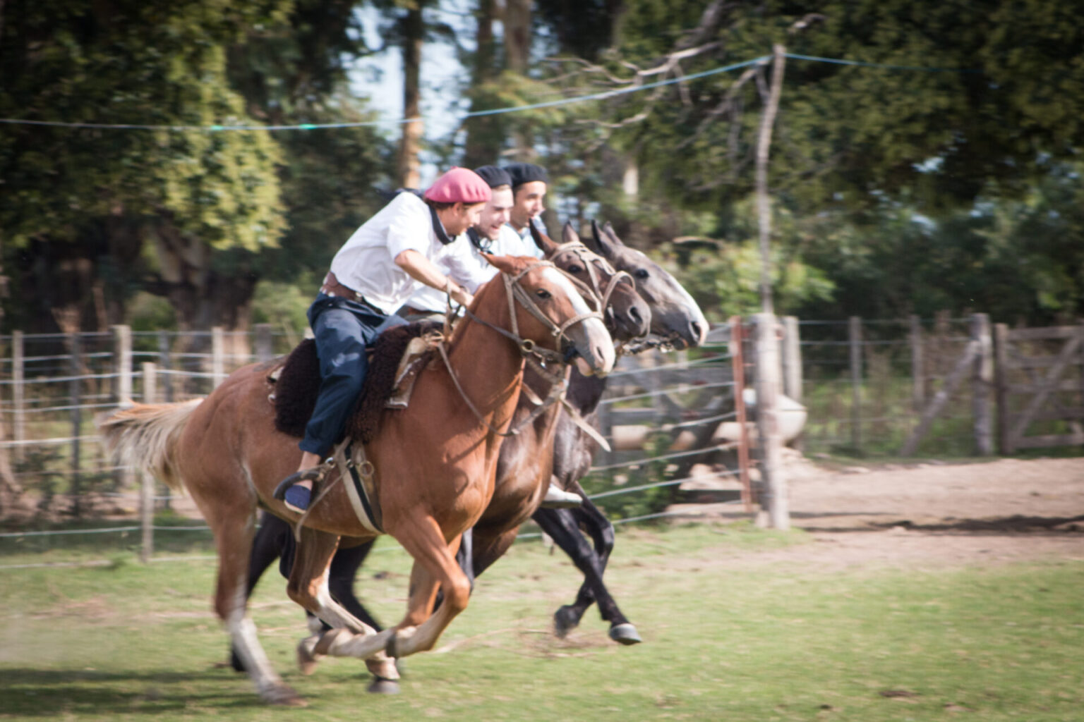El Ombú de Areco