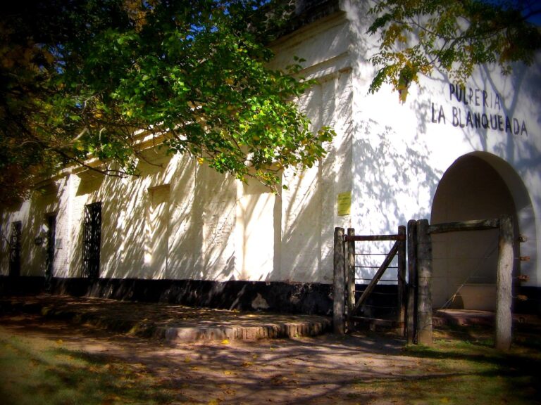 Día de campo - Sanantoniodeareco.com