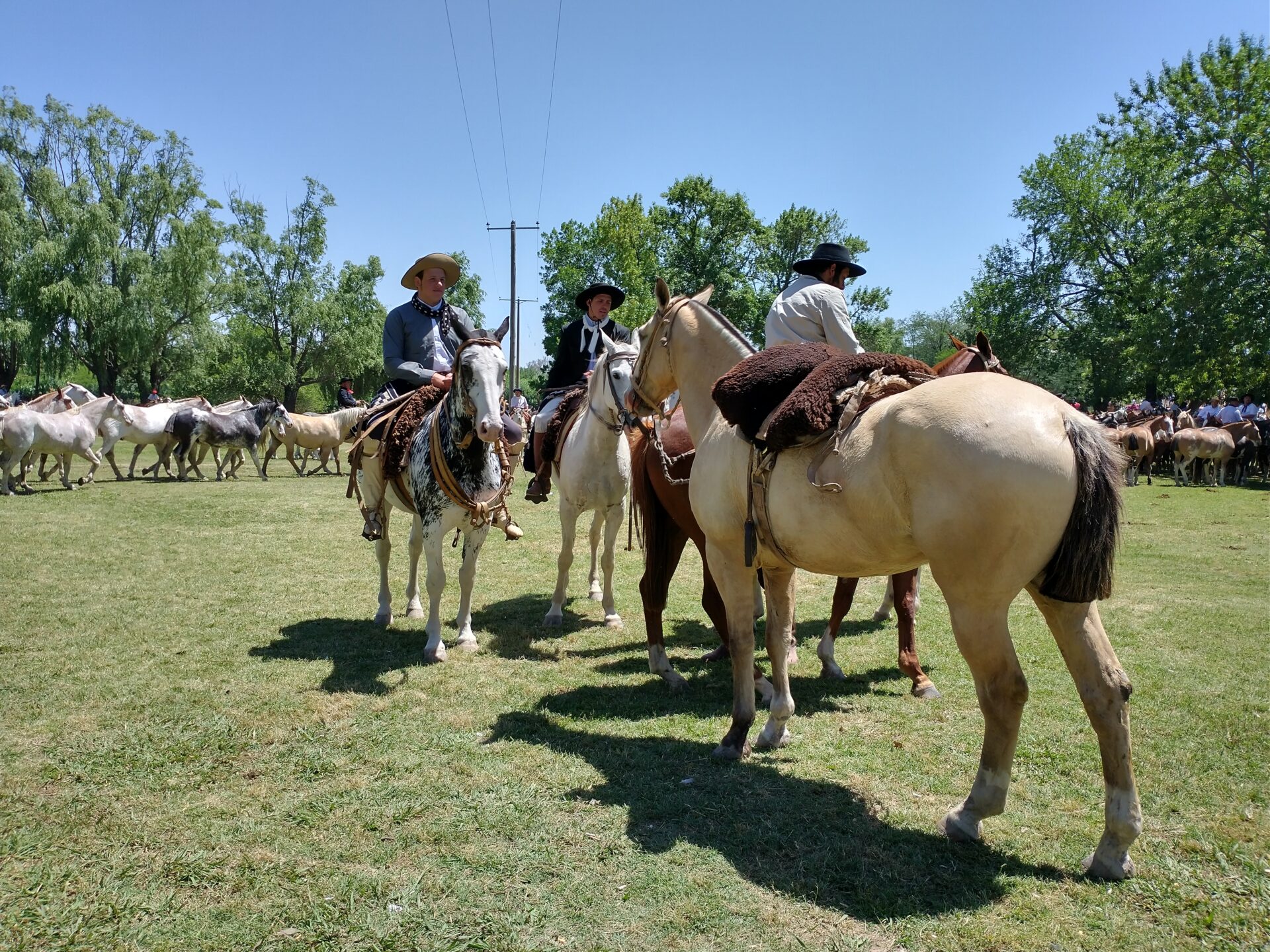 Paisanos y tropillas en San Antonio de Areco