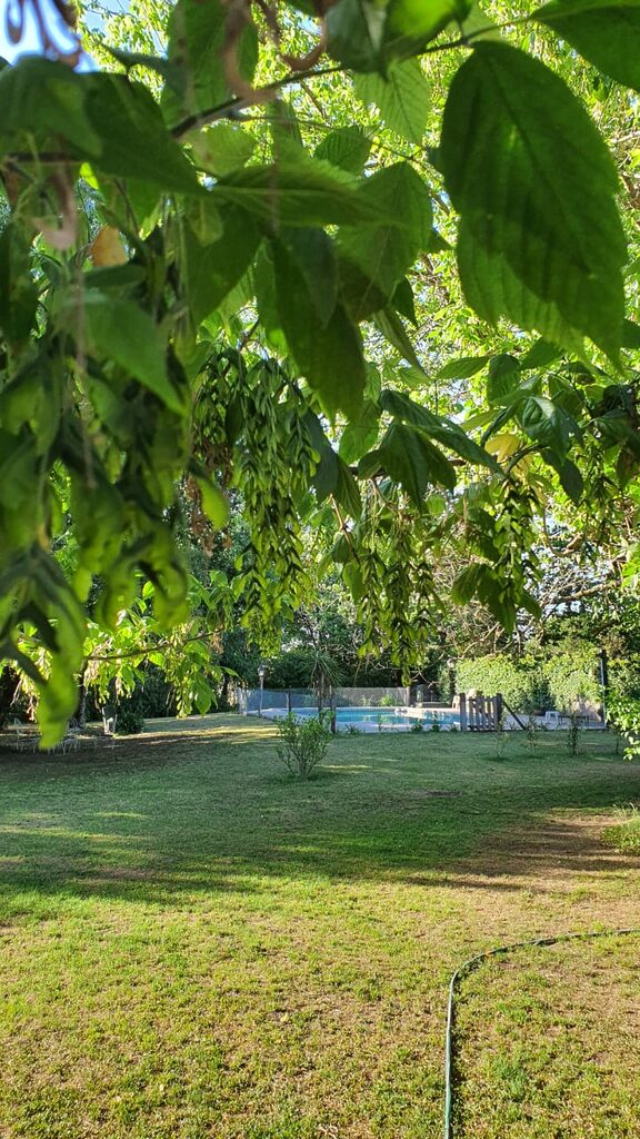 La Herrería, cabaña en Duggan (foto 3 de 24)