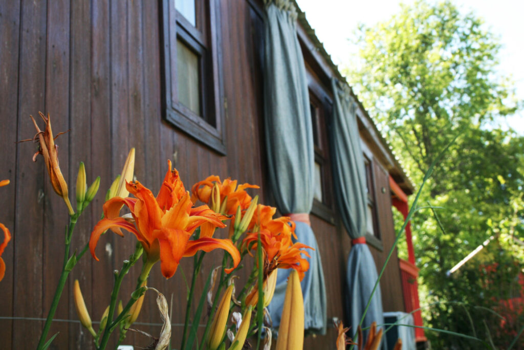 El Sendero Güiraldes B&B, cabaña en San Antonio de Areco (foto 22 de 30)