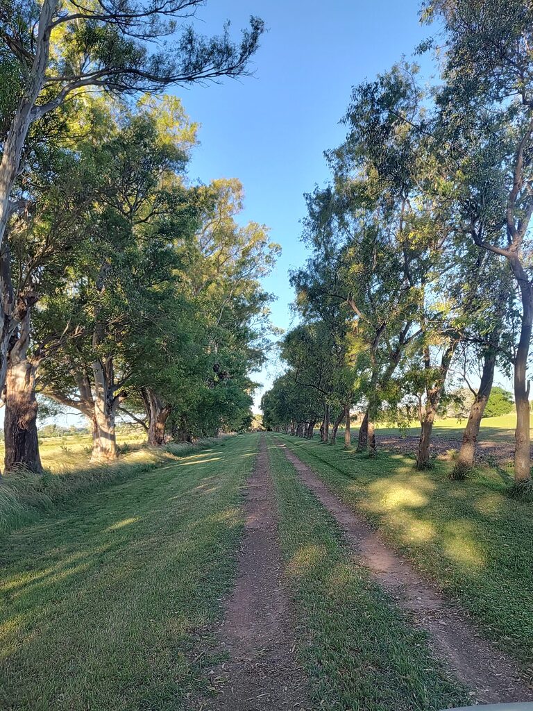 Casa de campo Eduka en San Antonio de Areco (foto 30 de 31)