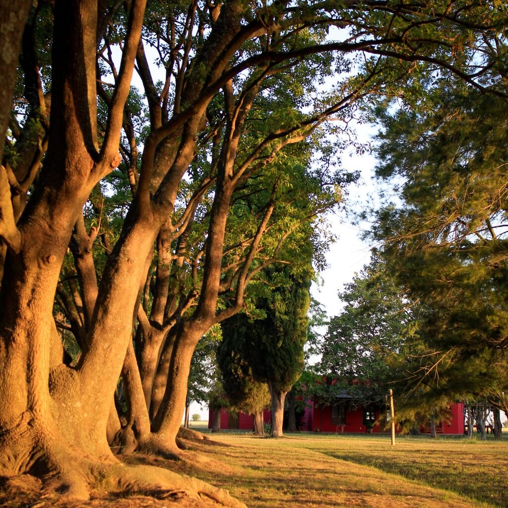 La Arboleda, casa de campo en San Andrés de Giles (foto 16 de 21)