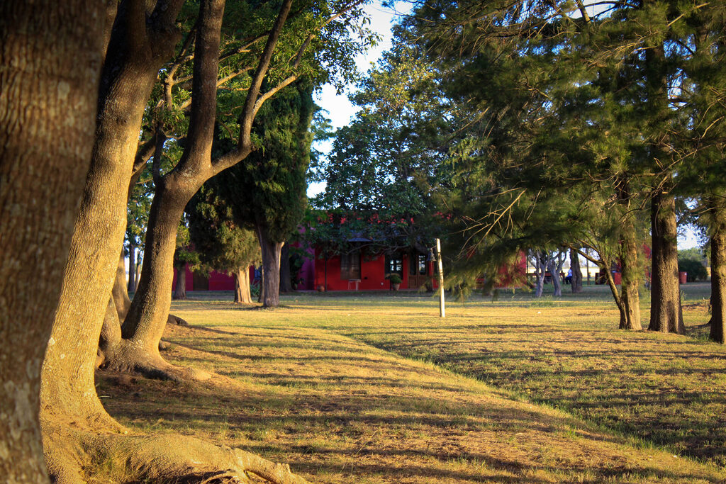 La Arboleda, casa de campo en San Andrés de Giles (foto 3 de 21)