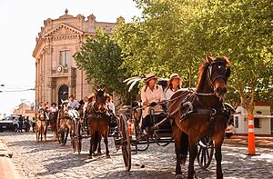 XVII ATADA DE LOS PAGOS DE ARECO