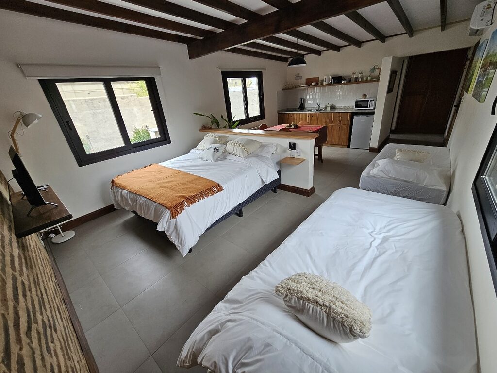 Posada del Atelier, departamento en San Antonio de Areco (foto 16 de 25)