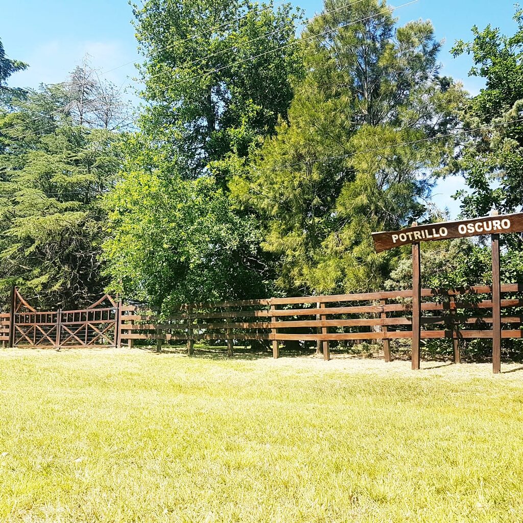 Estancia Potrillo Oscuro, casa de campo en Baradero (foto 1 de 22)