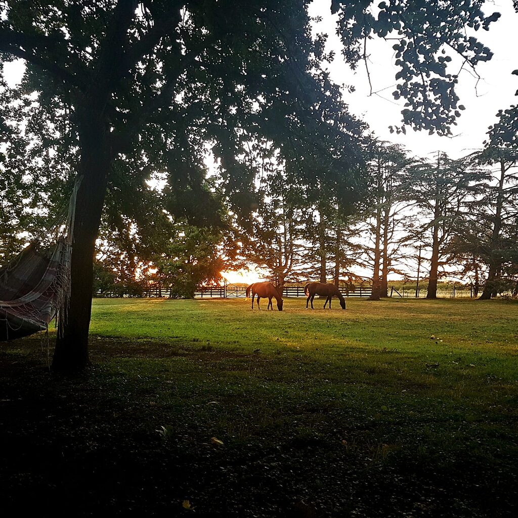 Estancia Potrillo Oscuro, casa de campo en Baradero (foto 20 de 22)