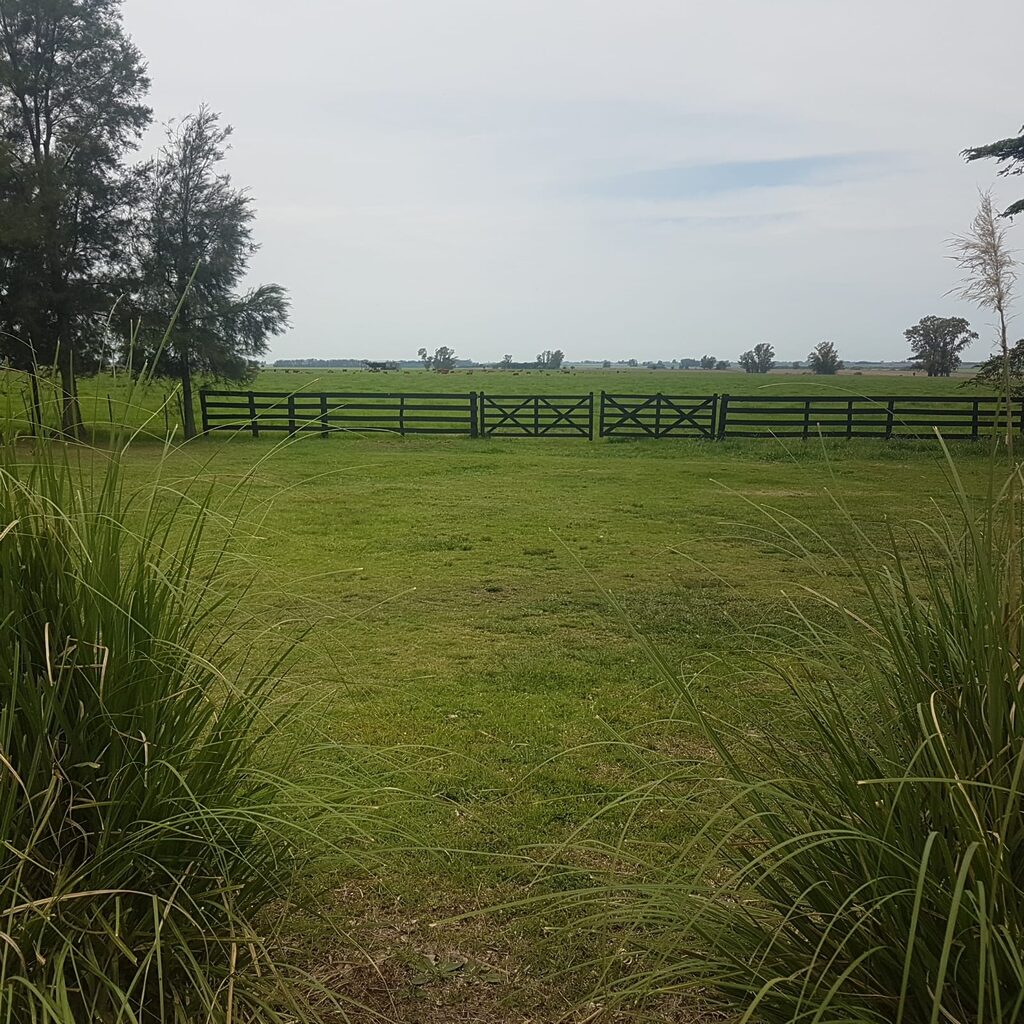 Estancia Potrillo Oscuro, casa de campo en Baradero (foto 18 de 22)
