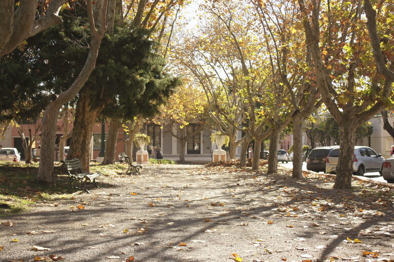 Carolina Bessonart Propiedades, inmobiliaria en San Antonio de Areco