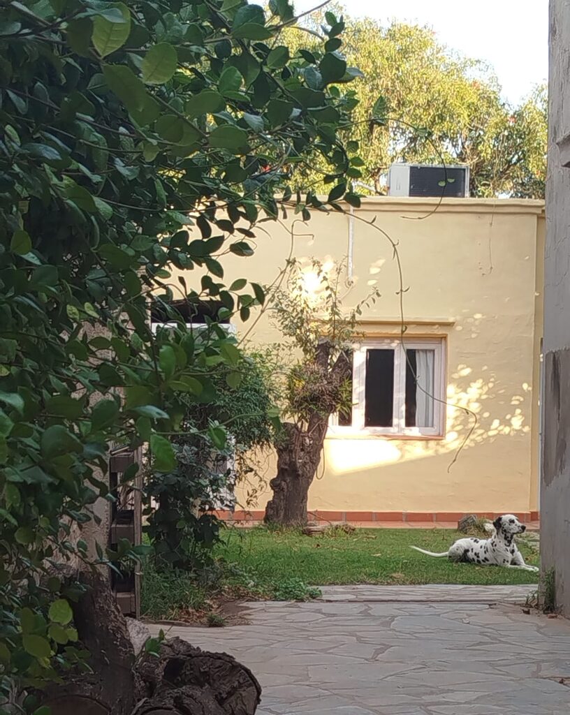 DeMiAreco, departamento en San Antonio de Areco (foto 14 de 15)